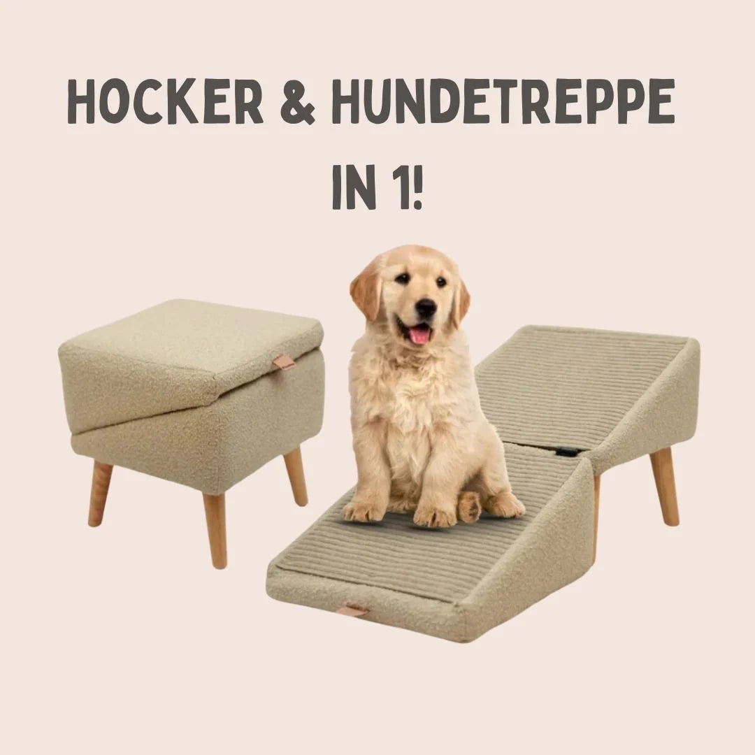 Dog Ramp & Stool Dual-Use Non-Slip Cover