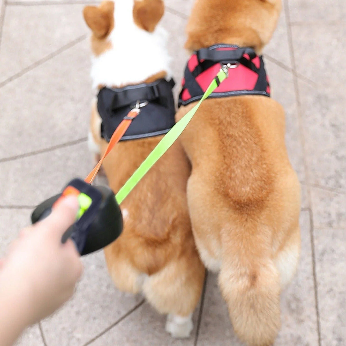 Dual Dog Leash Retractable 360° Swivel LED Light & Reflective Details