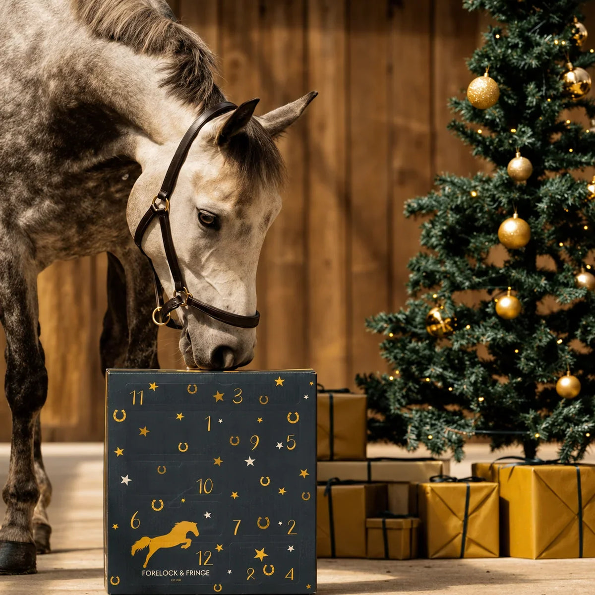 Horse Advent Calendar 24-Day Grooming & Accessories