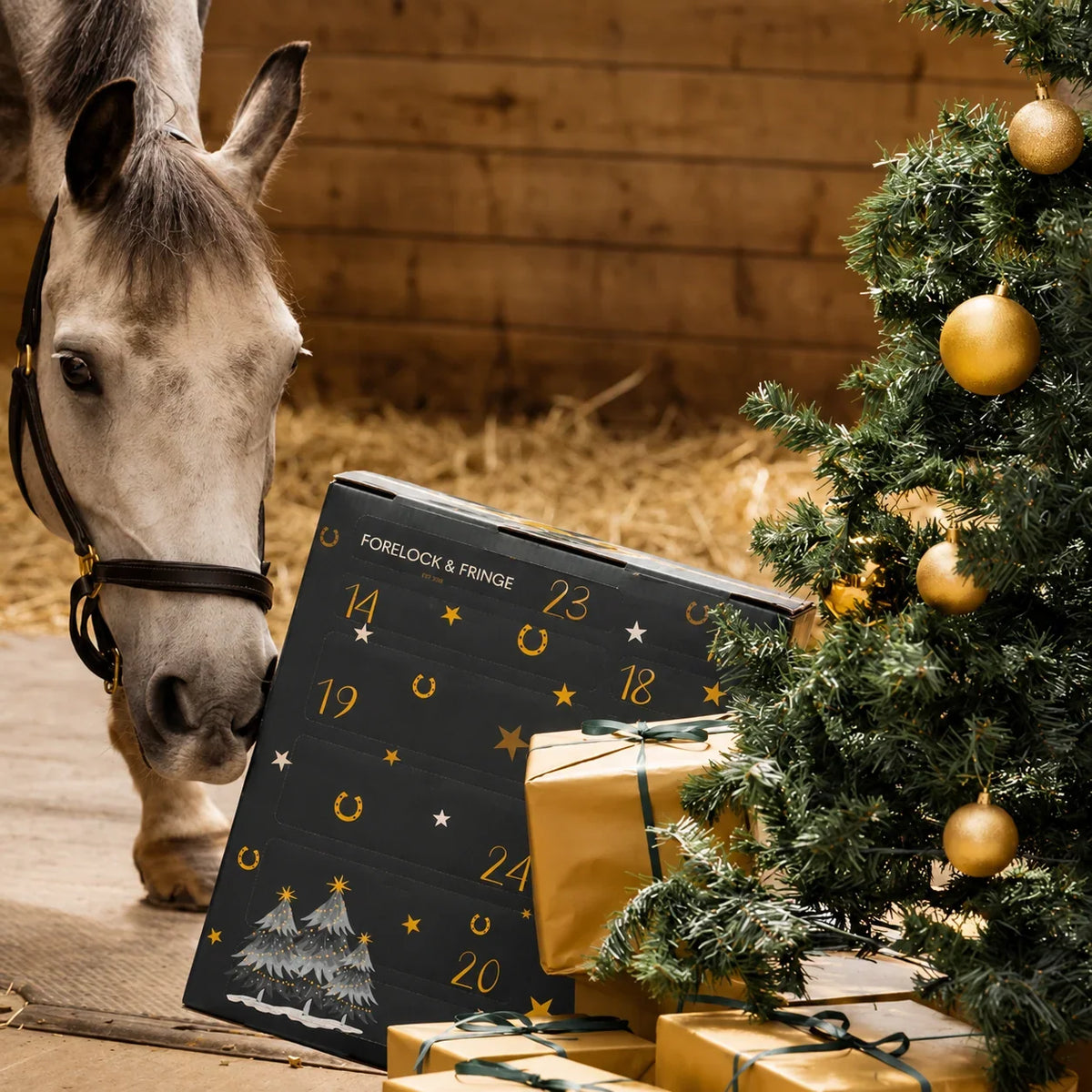 Horse Advent Calendar 24-Day Grooming & Accessories