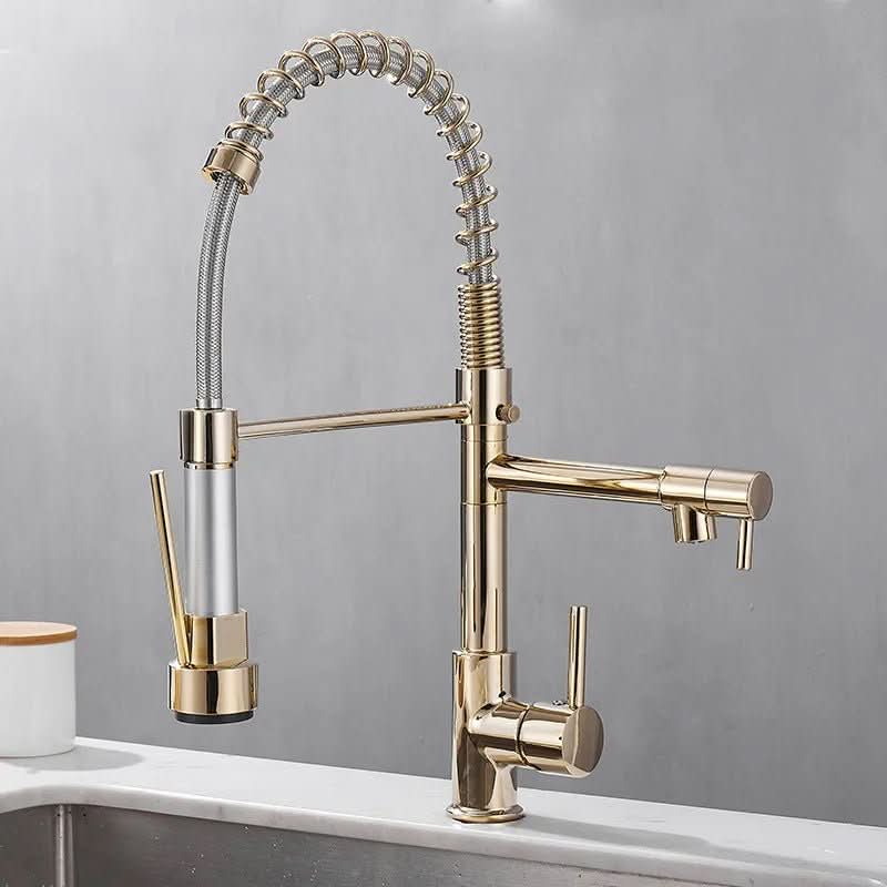 Kitchen Faucet Brass Dual Spout Two Stream Options
