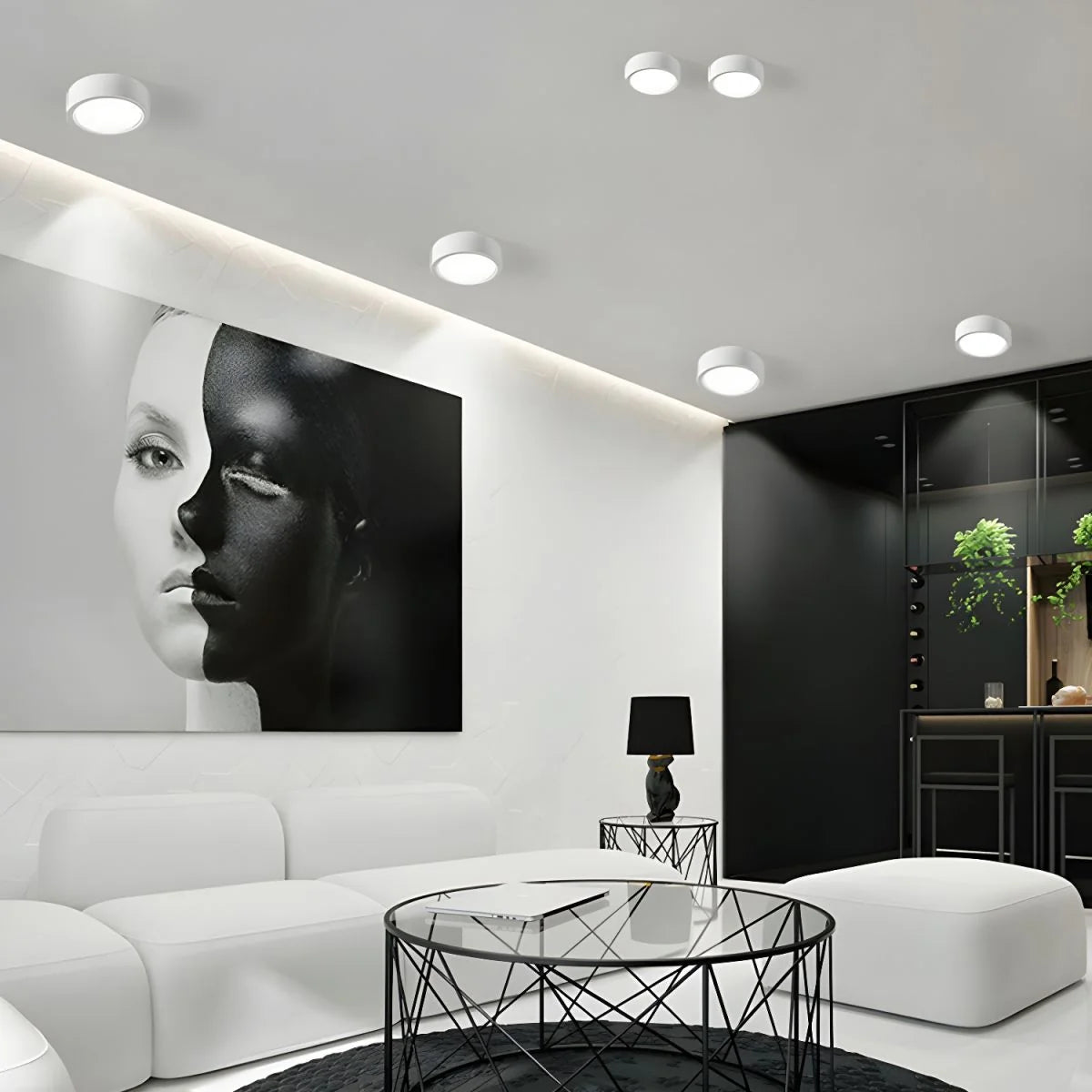 LED Ceiling Light Low-Profile Adjustable Color Temperature Integrated LED