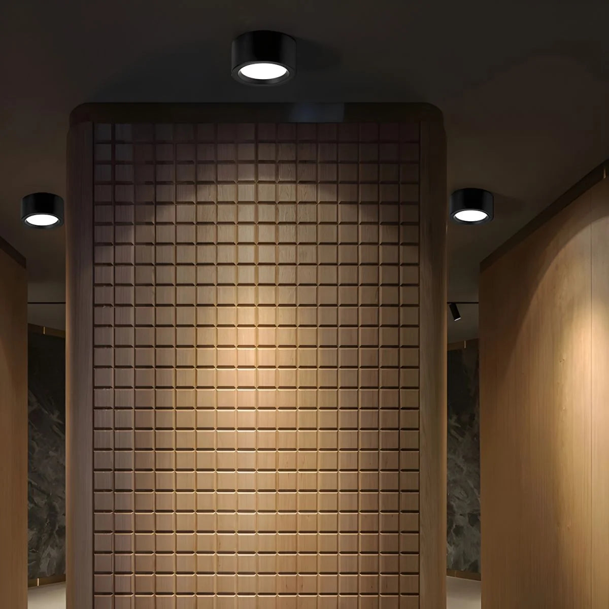 LED Ceiling Light Low-Profile Adjustable Color Temperature Integrated LED