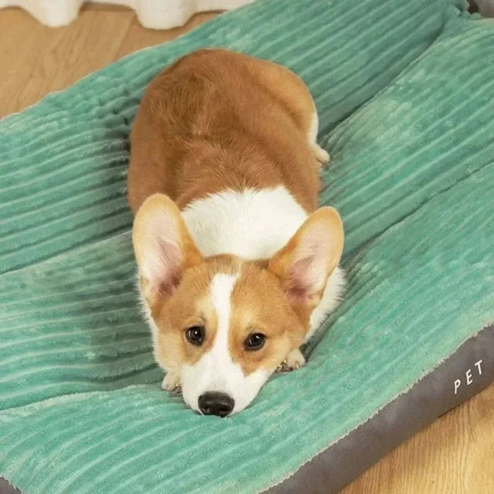 Orthopedic Dog Bed Fluffy Pressure-Relieving Support