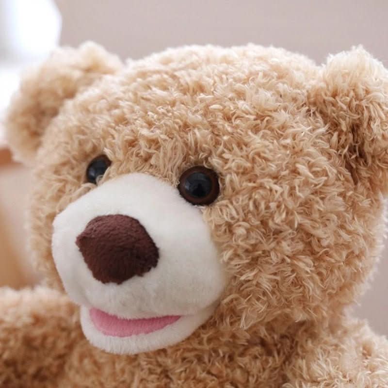 Plush Bear Toy Interactive Peekaboo Soft & Easy-Clean