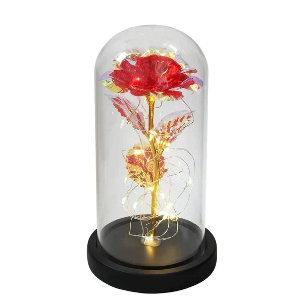 Preserved Rose Display Clear Dome LED Illuminated Base