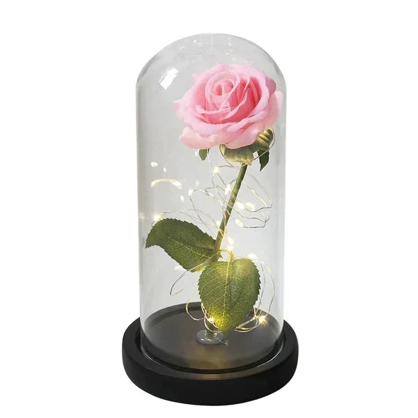 Preserved Rose Display Clear Dome LED Illuminated Base