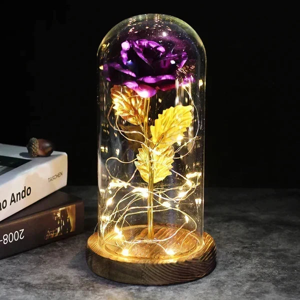 Preserved Rose Display Clear Dome LED Illuminated Base