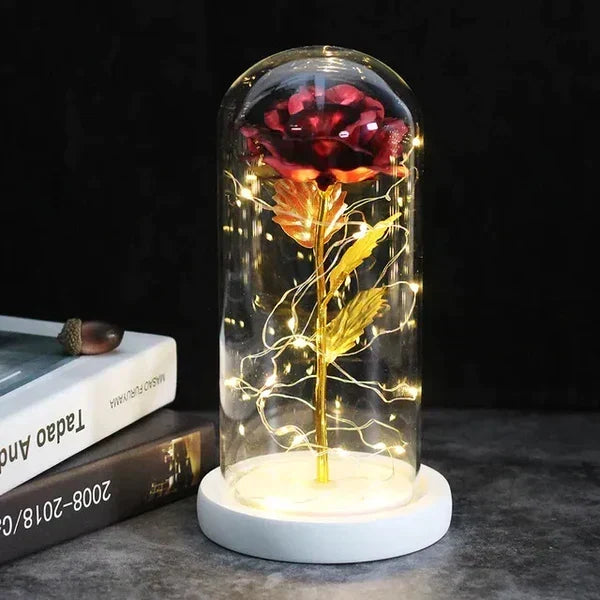 Preserved Rose Display Clear Dome LED Illuminated Base