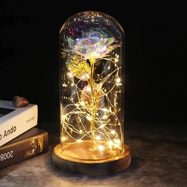 Preserved Rose Display Clear Dome LED Illuminated Base