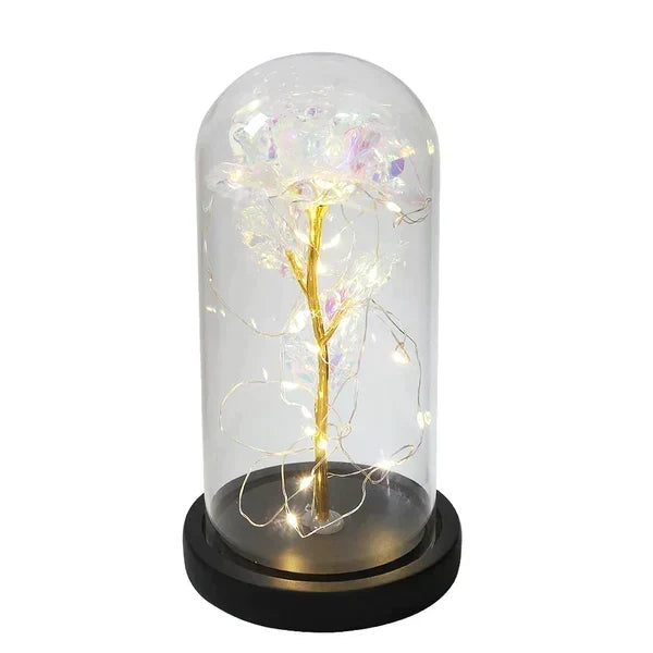 Preserved Rose Display Clear Dome LED Illuminated Base