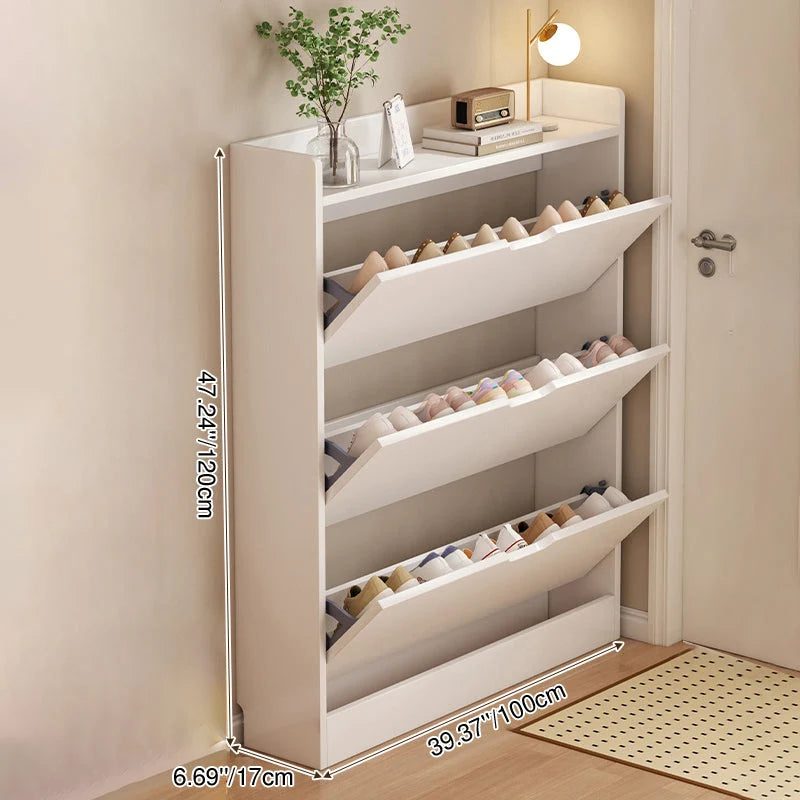 Shoe Storage Cabinet Slim Profile Concealed Tiered Storage