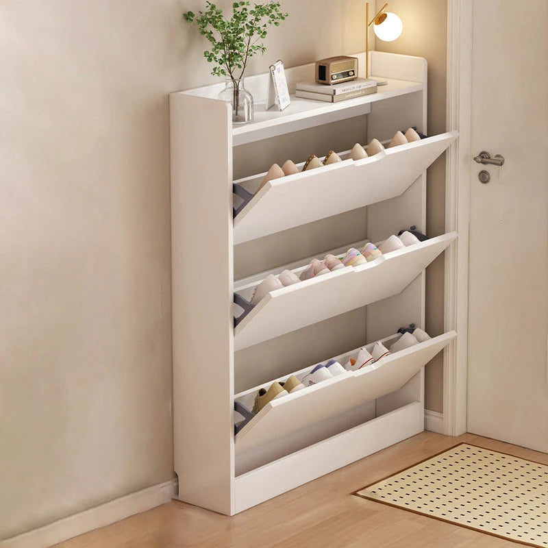 Shoe Storage Cabinet Slim Profile Concealed Tiered Storage
