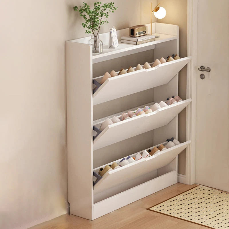Shoe Storage Cabinet Slim Profile Concealed Tiered Storage