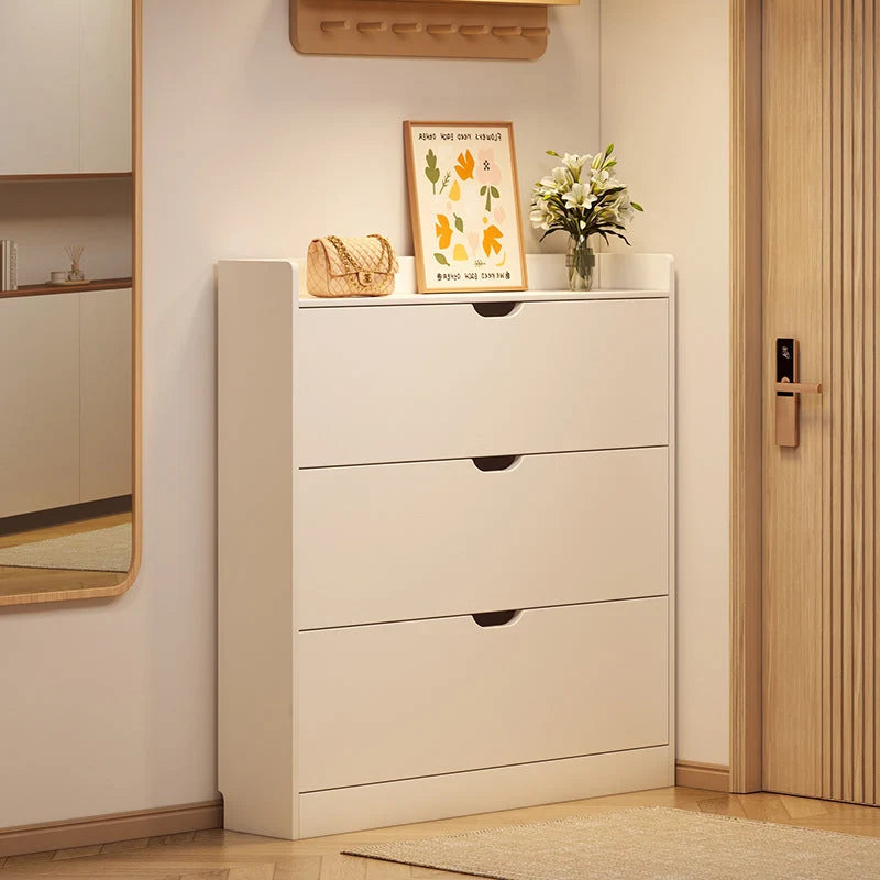 Shoe Storage Cabinet Slim Profile Concealed Tiered Storage