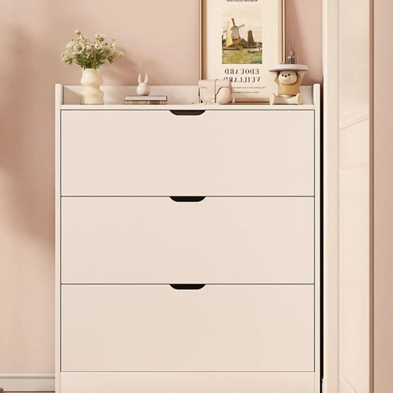 Shoe Storage Cabinet Slim Profile Concealed Tiered Storage