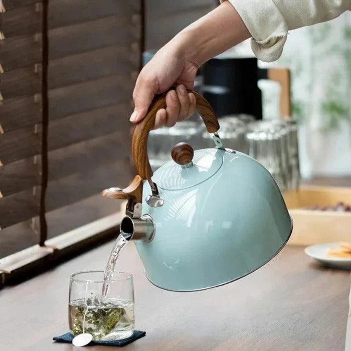 Stovetop Kettle Built-In Whistle Insulated Handle Multi-Cooktop Compatible