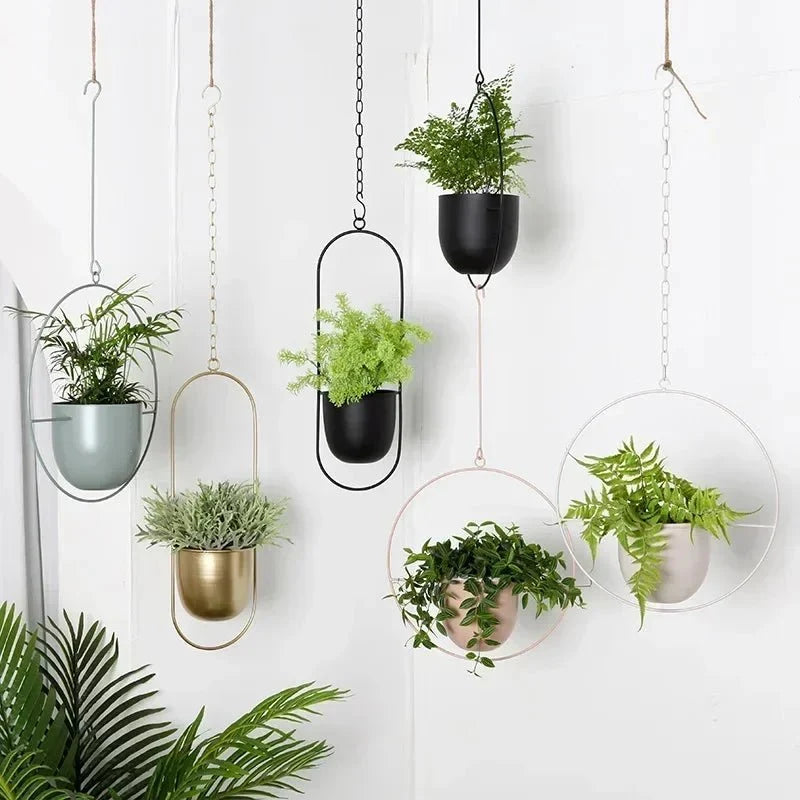 Wall-Mounted Plant Holder Iron Adjustable Chain