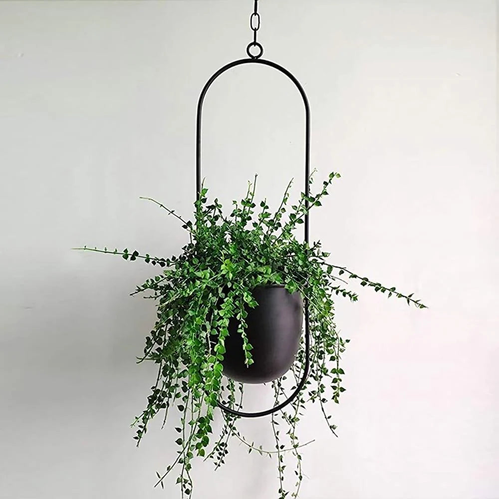 Wall-Mounted Plant Holder Iron Adjustable Chain