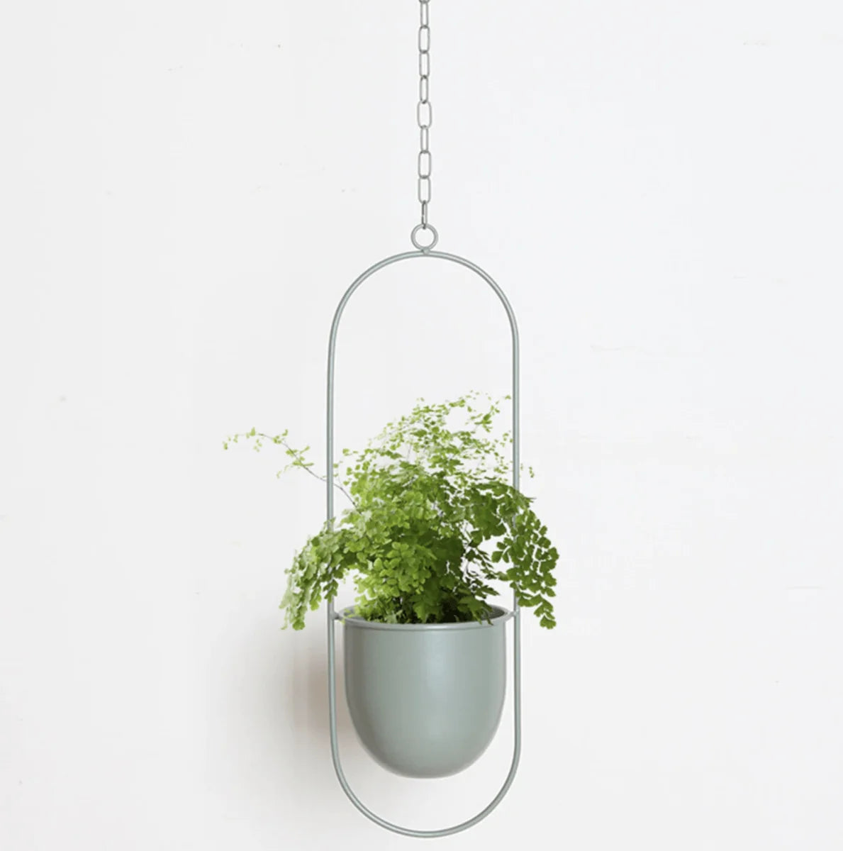 Wall-Mounted Plant Holder Iron Adjustable Chain